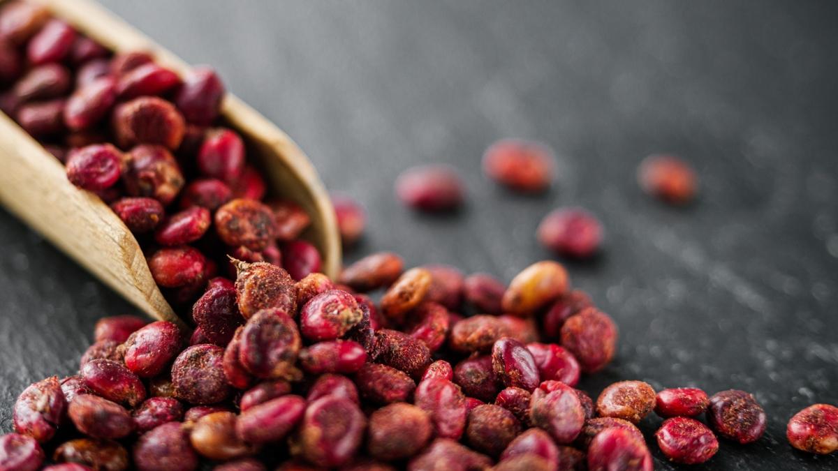baharat salk hayat fotoraflar resimleri