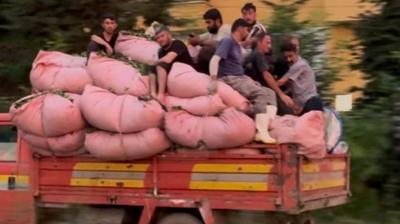Grntler Hindistan' aratmad! Tehlikeli yolculuk yrekleri aza getirdi