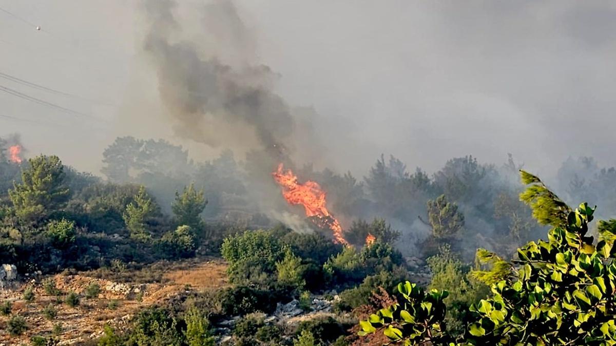 orman yangn silifke yangn mdahalesi fotoraflar resimleri
