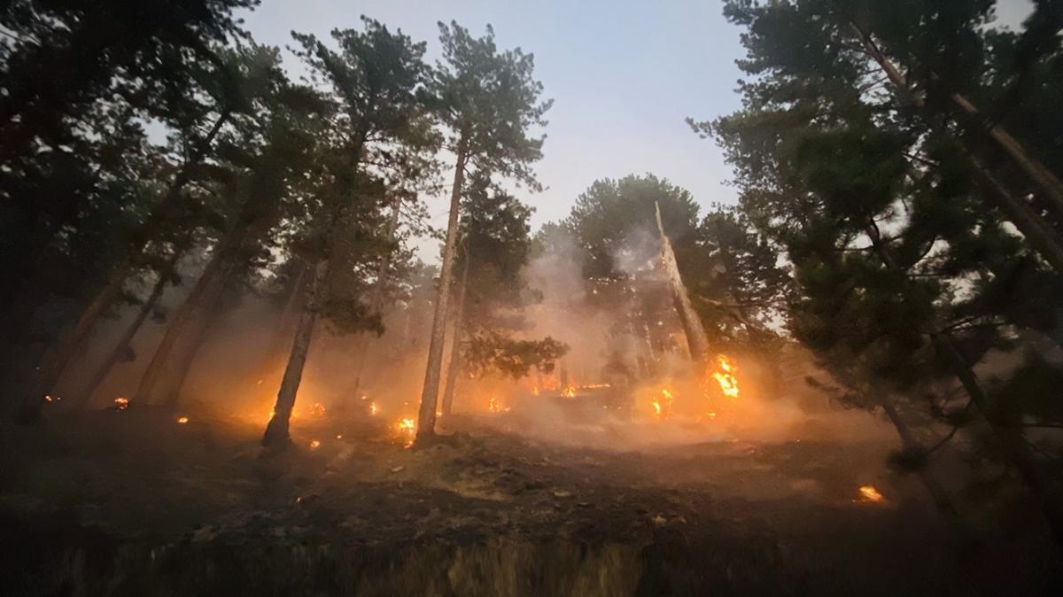 orman yangnlar mdahale yangn sndrme fotoraflar resimleri