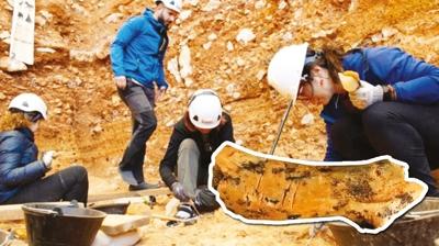 ocuk kemiinde kefedildi! 850 bin yllk yamyamlk