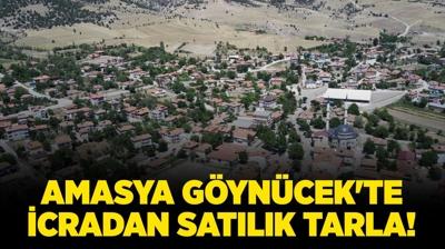 Amasya Gyncek'te icradan satlk tarla!