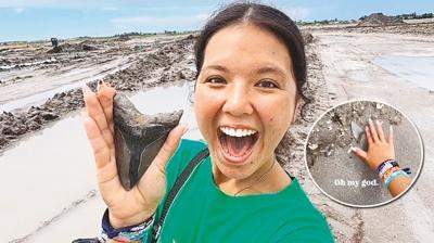 Sahilde 23 milyon yllk keif!