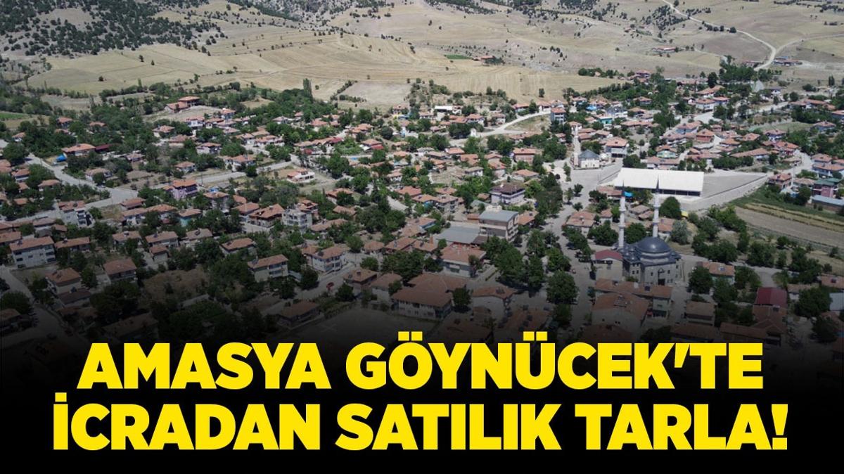 amasya gyncek satlk tarla icradan satlk tarla icra ilanlar fotoraflar resimleri