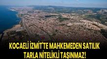 Kocaeli zmit'te mahkemeden satlk tarla nitelikli tanmaz!