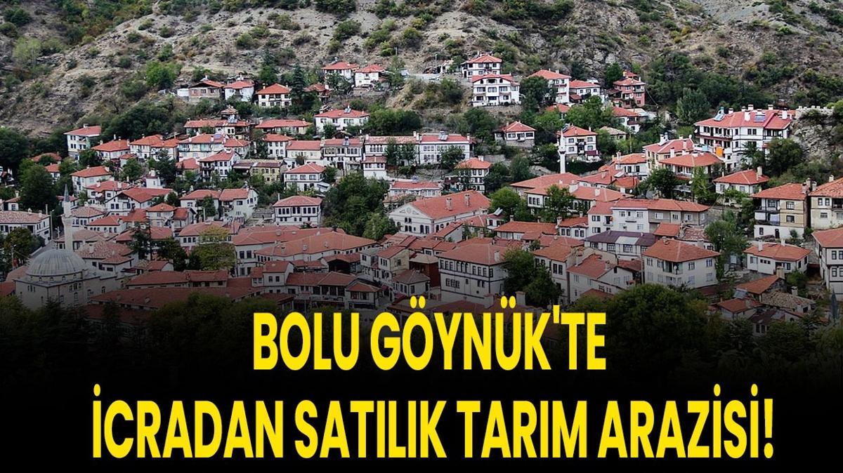 Bolu Gynk tarm arazisi icra sat ilan ilangovtr fotoraflar resimleri