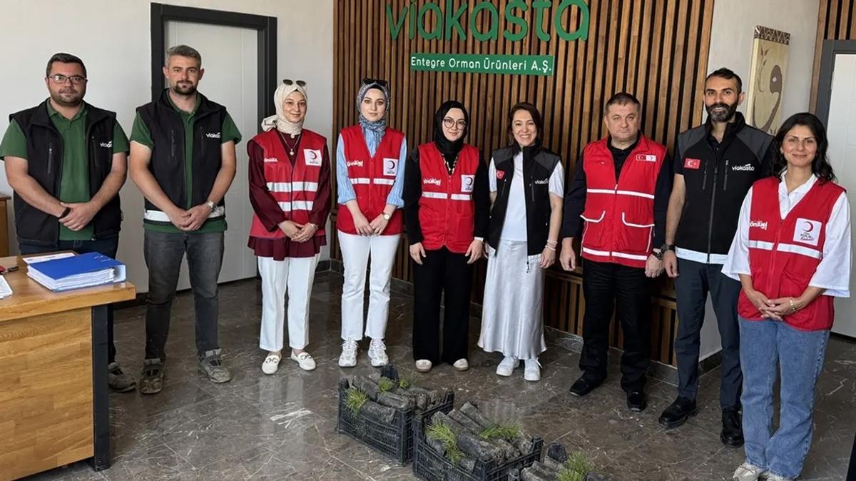 fidan fabrika kocaeli fotoraflar resimleri