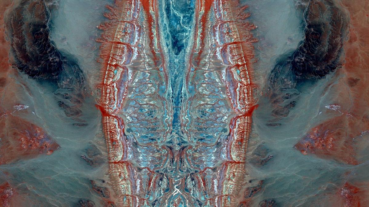 kiilik testi test kalamar ahtapot sevilmeyen zelliin fotoraflar resimleri