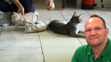 ''Kedi tynden ld'' denilmiti... Gerek bakn ne kt?