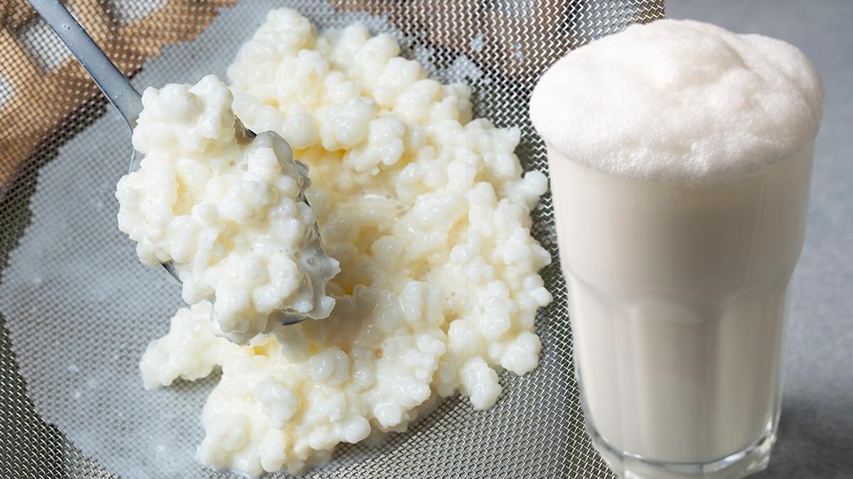 ayran kefir ayrandan 10 kat daha faydal kefirin faydalar kolesterol kan ekeri fotoraflar resimleri