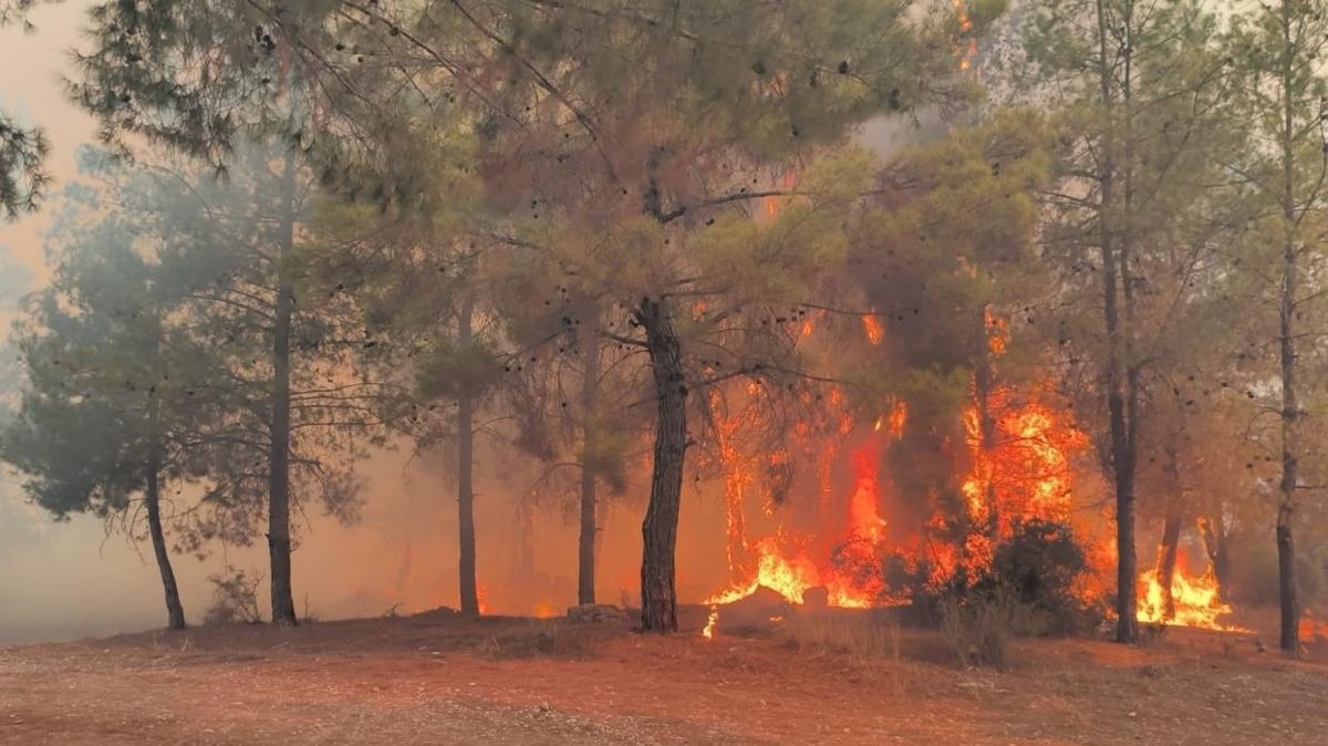 antalya orman yangn yangn mdahale fotoraflar resimleri