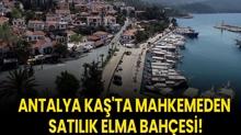 Antalya Ka'ta mahkemeden satlk elma bahesi!