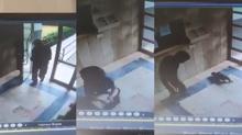 Grntler byk tepki toplamt! Kediye iddet uygulayan pheli gzaltna alnd