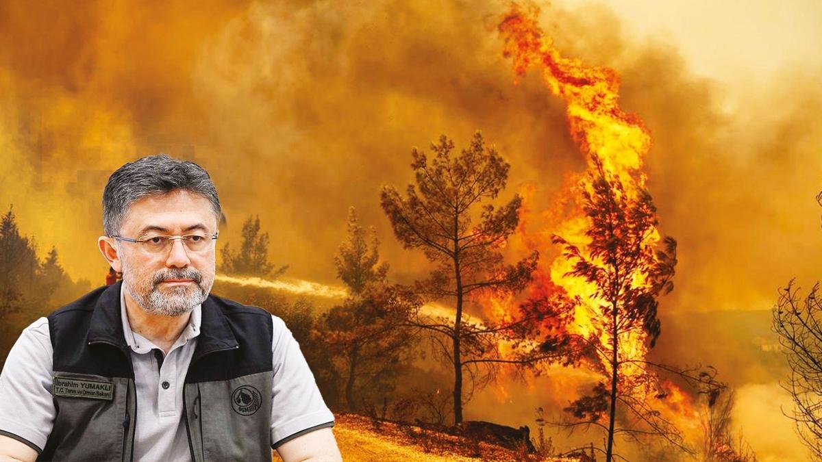 orman yangn  dezenformasyon  yeerecek toprak fotoraflar resimleri