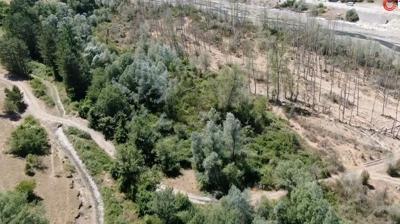 Aalara adanm mr: 32 senede binlerce fidan dikti