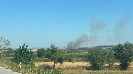 anakkale'de orman d alanda yangn: Havadan ve karadan mdahale ediliyor