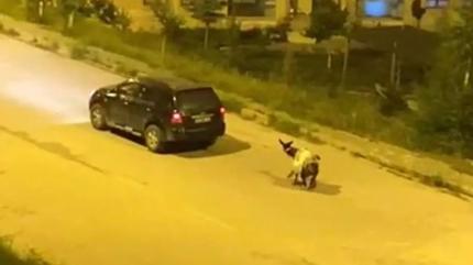 Tepki eken grnt! Eei arabaya balayp, zorla srklediler