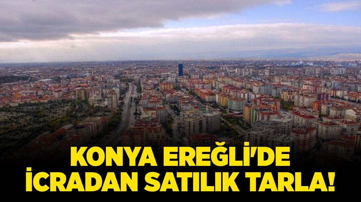 konya ereli satlk tarla icradan satlk tarla icra ilanlar fotoraflar resimleri