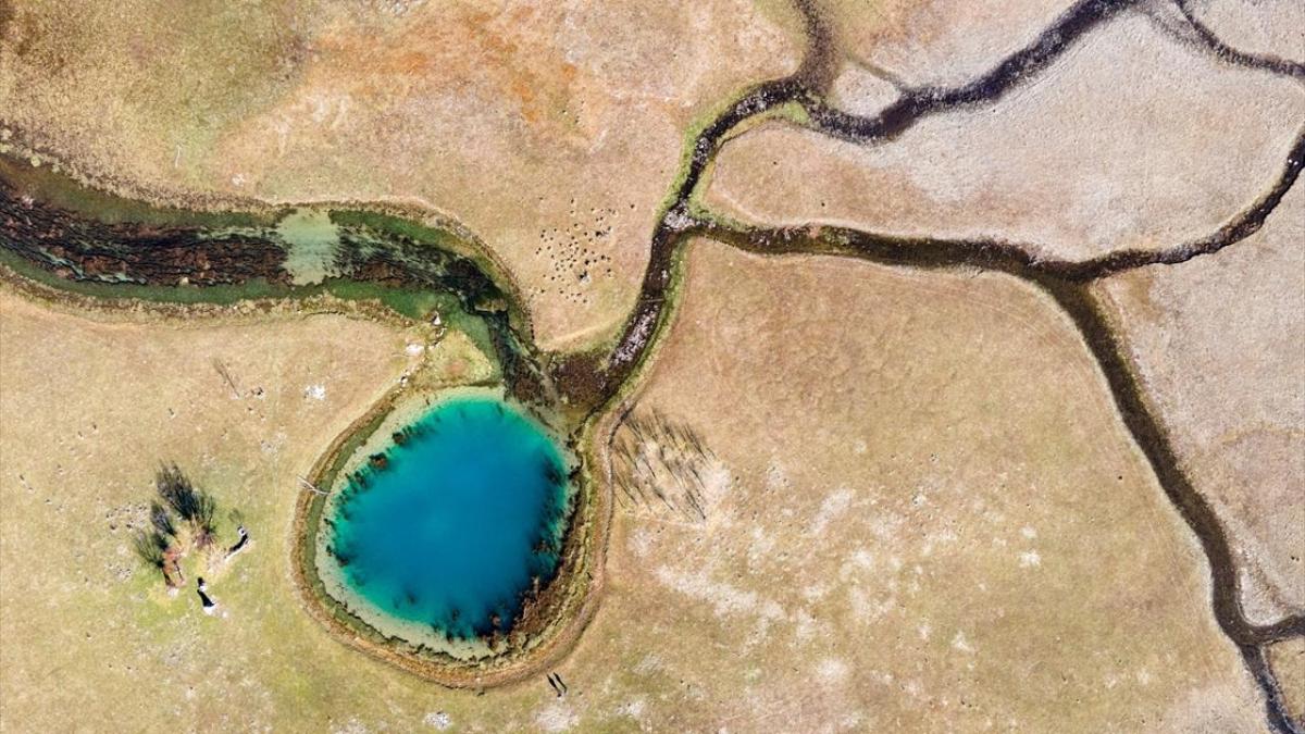 su seviyesi d su kalitesi bozulmas canl kayb nleme fotoraflar resimleri