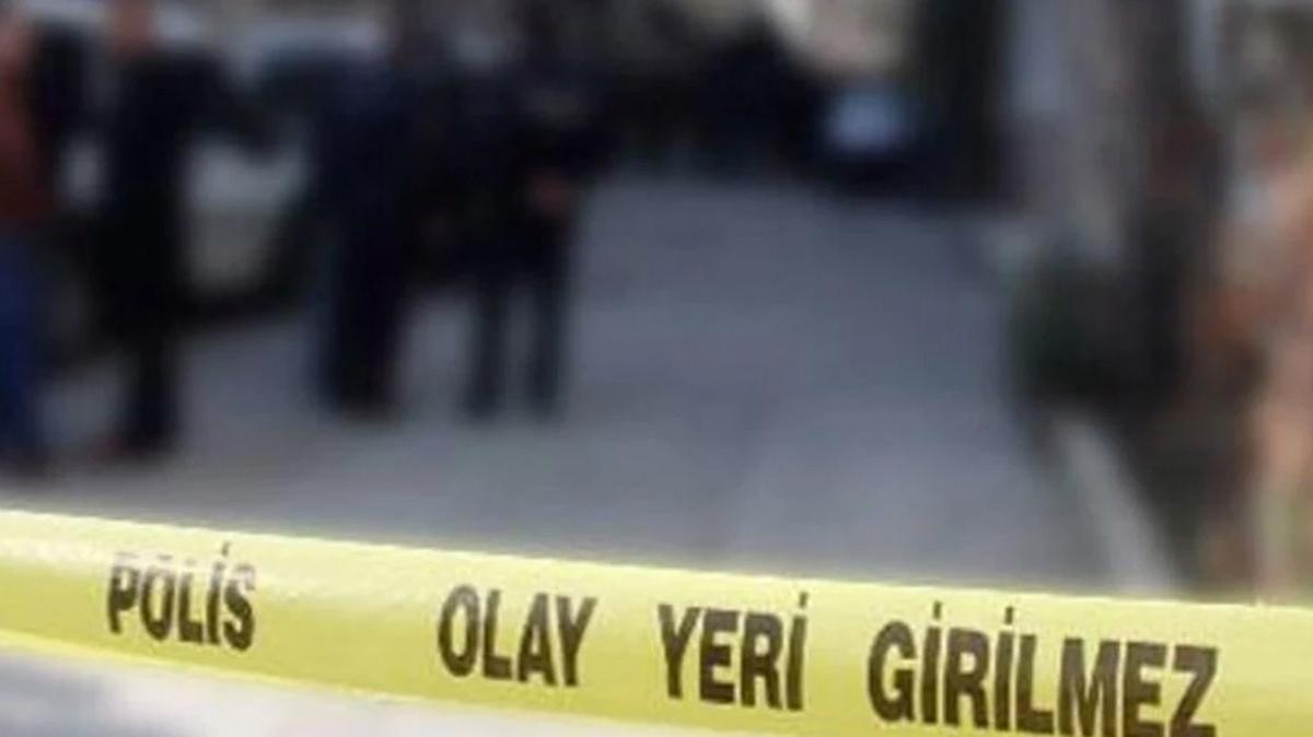 Balkesir Burhaniye ocuk dme fotoraflar resimleri