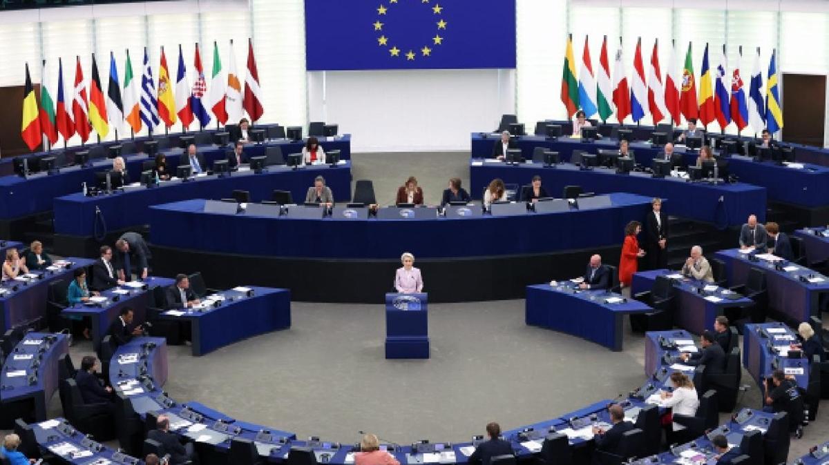 Avrupa Parlamentosu AB liderleri Gazze saldrs fotoraflar resimleri