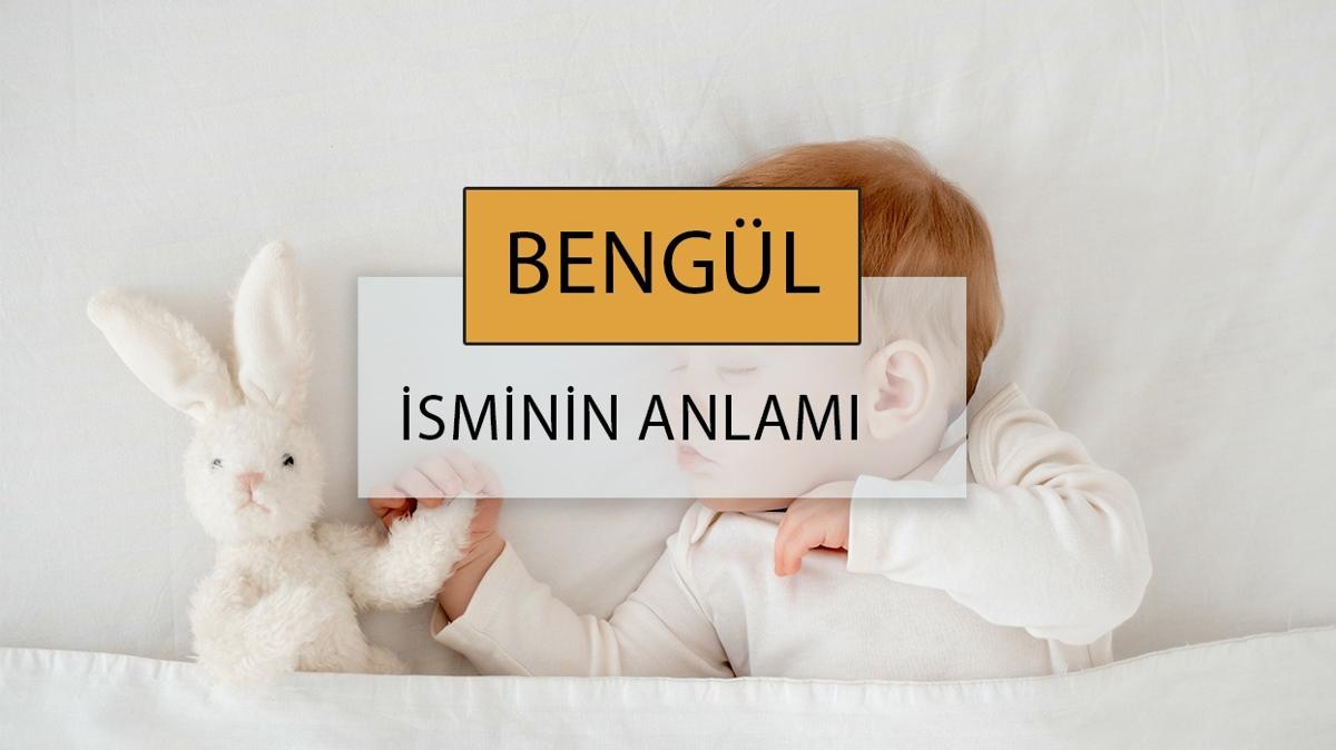bengl bengl ismi bengl isim anlam fotoraflar resimleri