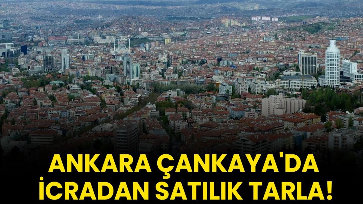 Ankara ankaya tarla  icra sat  arazi sat ilan ilangovtr fotoraflar resimleri