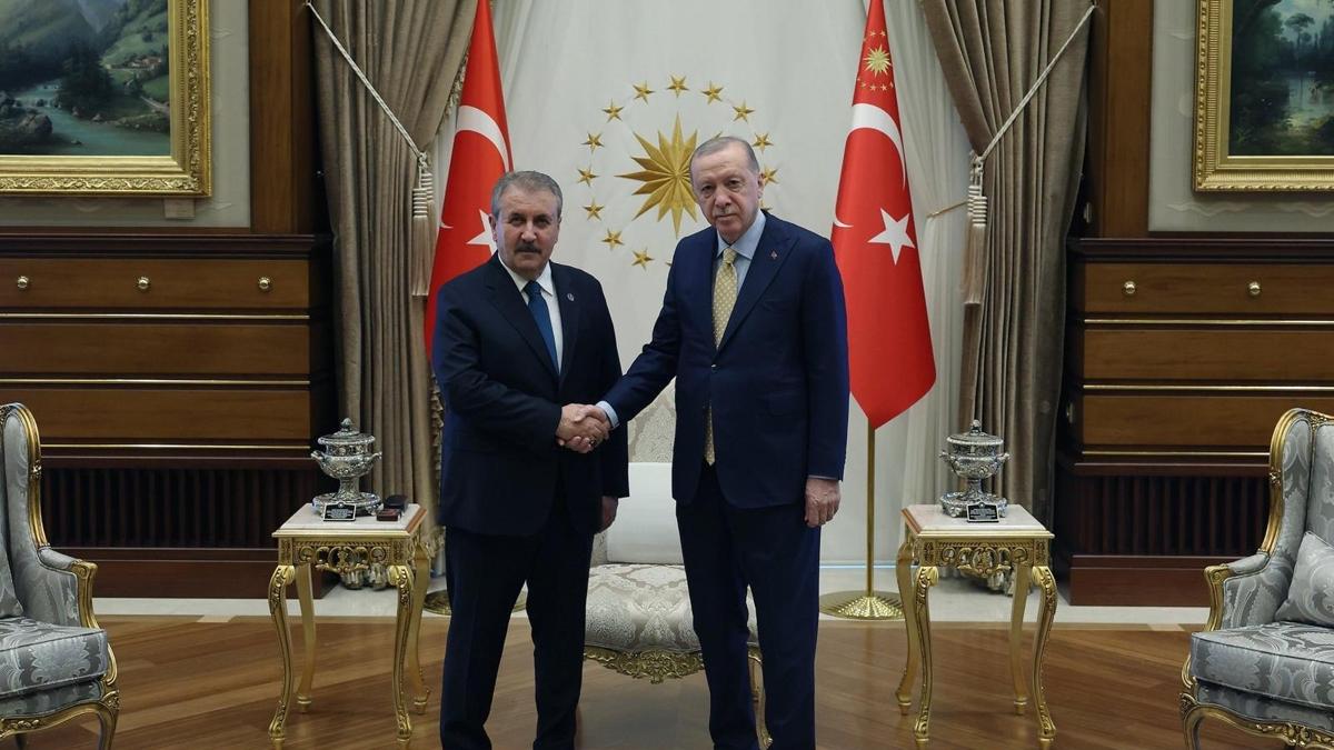 Erdoan Destici grme Cumhurbakanl siyaset fotoraflar resimleri