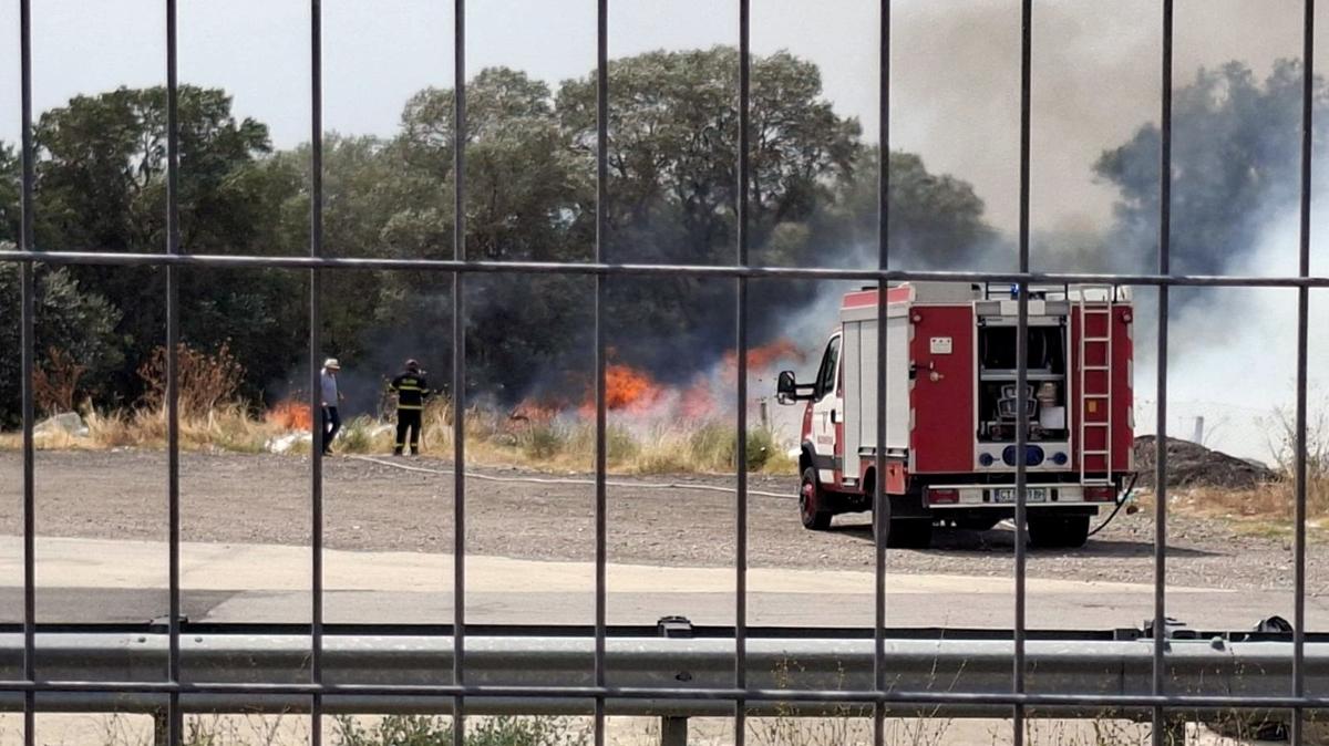 bulgaristan orman yangn yangn mdahale fotoraflar resimleri