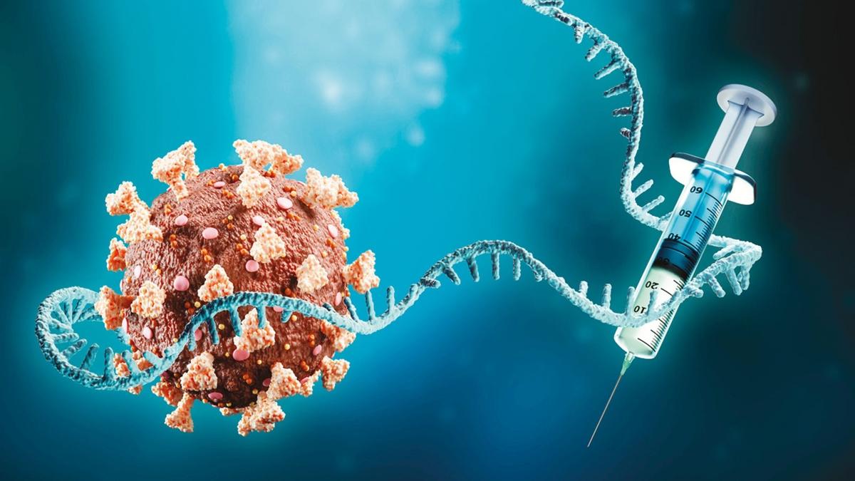 mRNA a Salk Bakanl A kart Kennedy fotoraflar resimleri