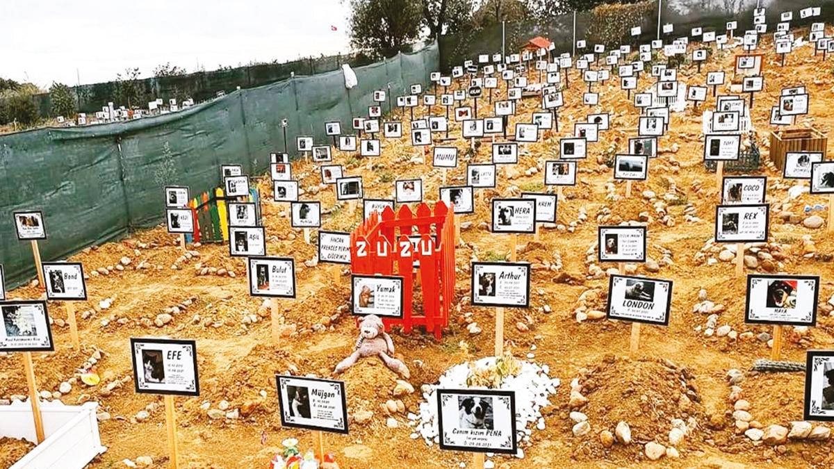 hayvan mezarl evcil hayvan ilgisi crematoryum fotoraflar resimleri