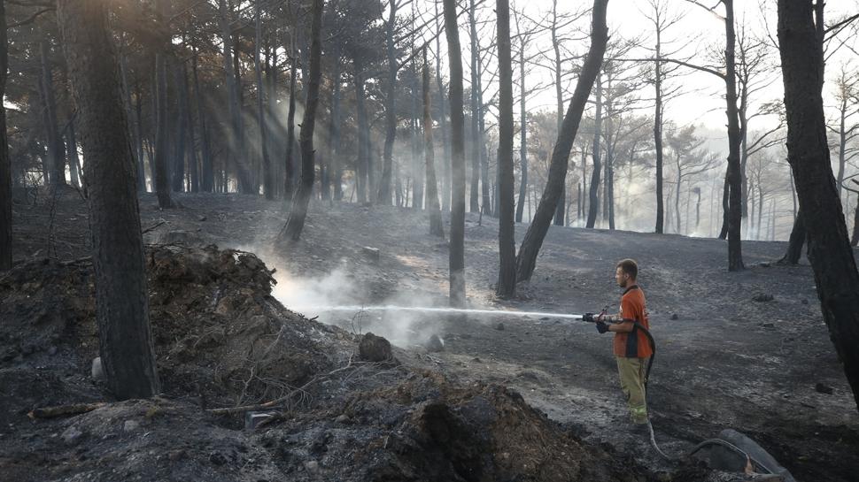 anakkale'de orman yangn! Bakan Yumakl'dan yreklere su serpen aklama