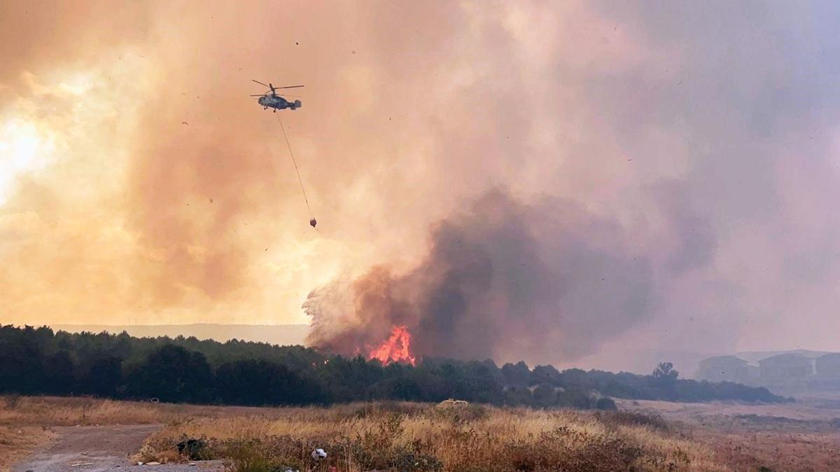 orman yangn anakkale karabk fotoraflar resimleri
