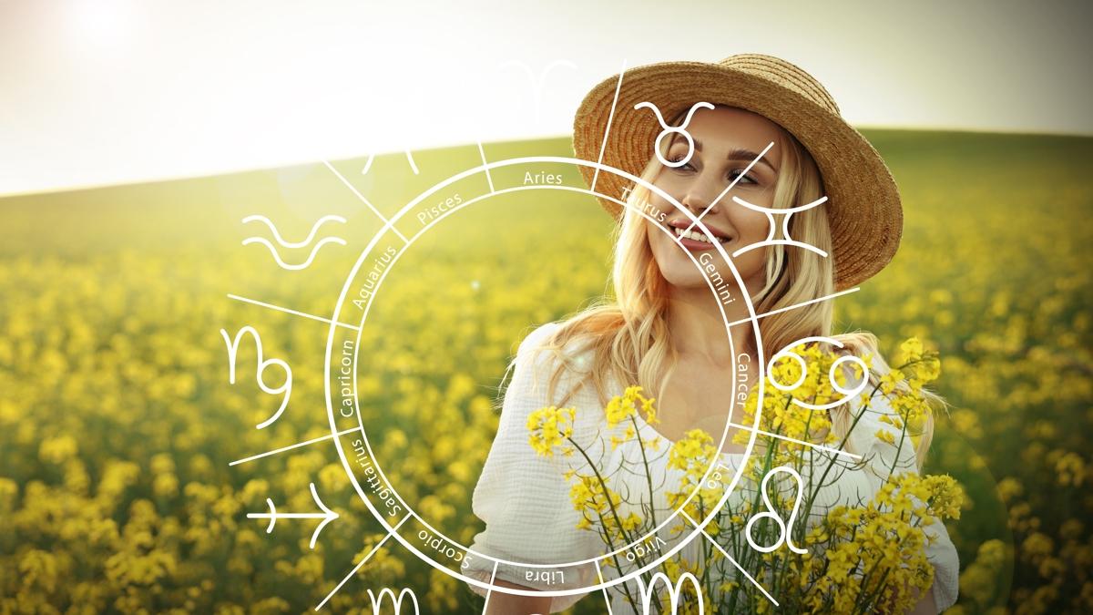 astroloj bur k fotoraflar resimleri