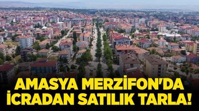 Amasya Merzifon'da icradan satlk tarla!
