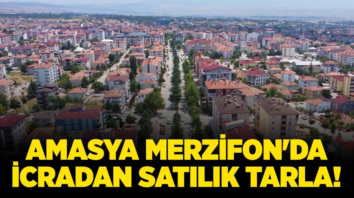 amasya merzifon satlk tarla icradan satlk tarla icra ilanlar fotoraflar resimleri