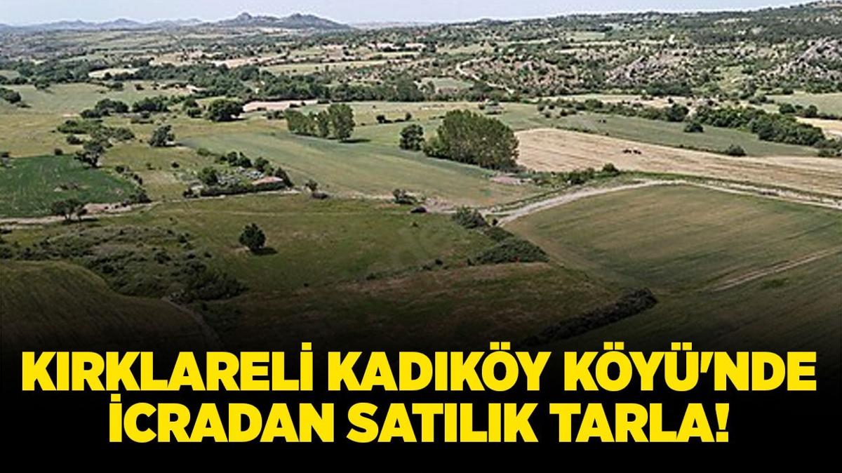 krkkale kadky ky satlk tarla icradan satlk tarla icra ilanlar fotoraflar resimleri
