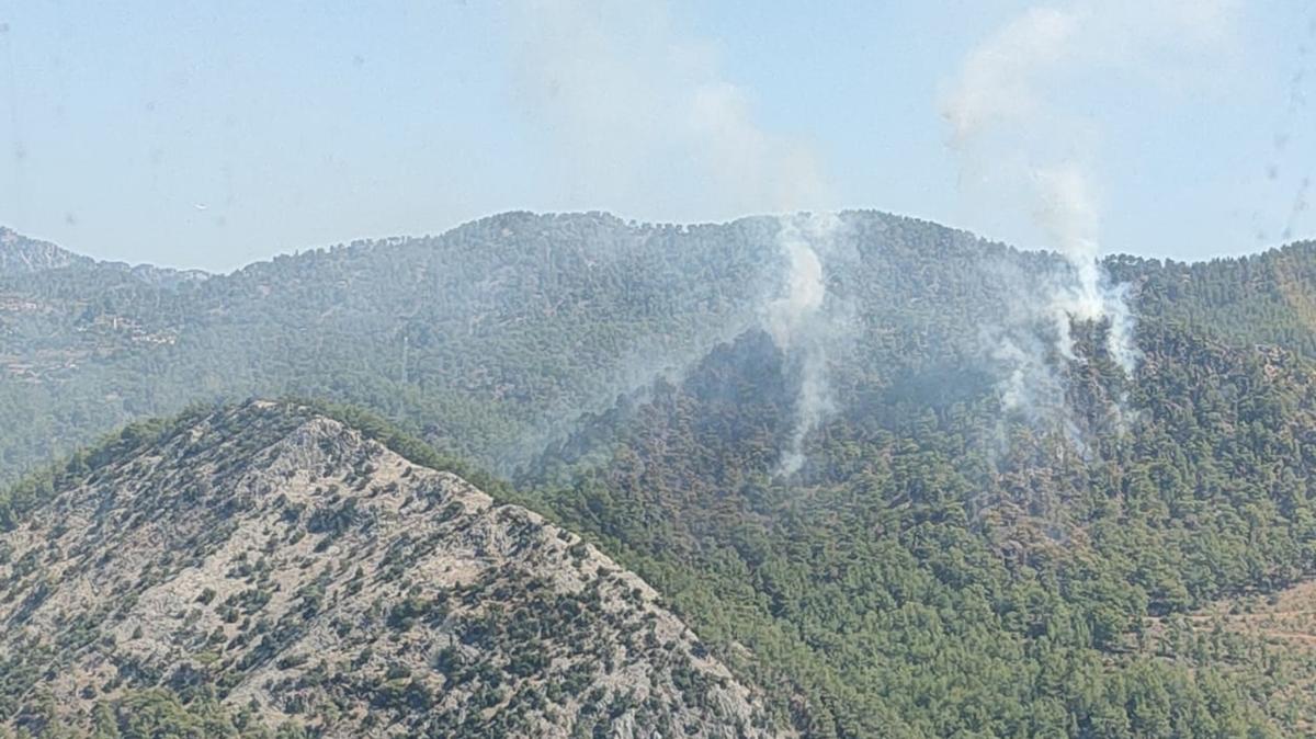 Mersin Anamur orman yangn havadan mdahale fotoraflar resimleri