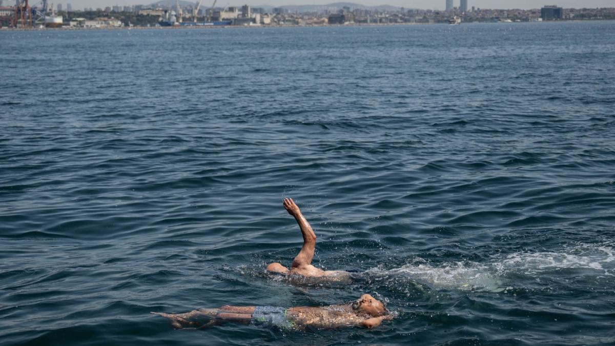 Sarayburnu Deniz kayp fotoraflar resimleri