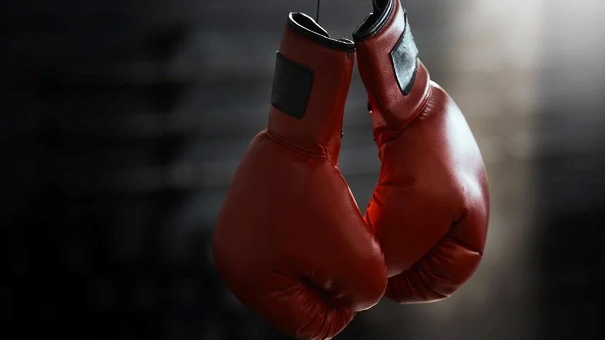 Japonya boks turnuvas spor dnyas boks fotoraflar resimleri
