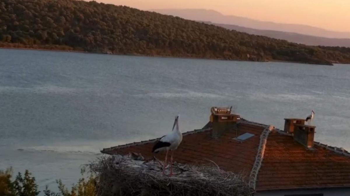 Yaren Leylek Karaaa ky deprem ncesi davran fotoraflar resimleri