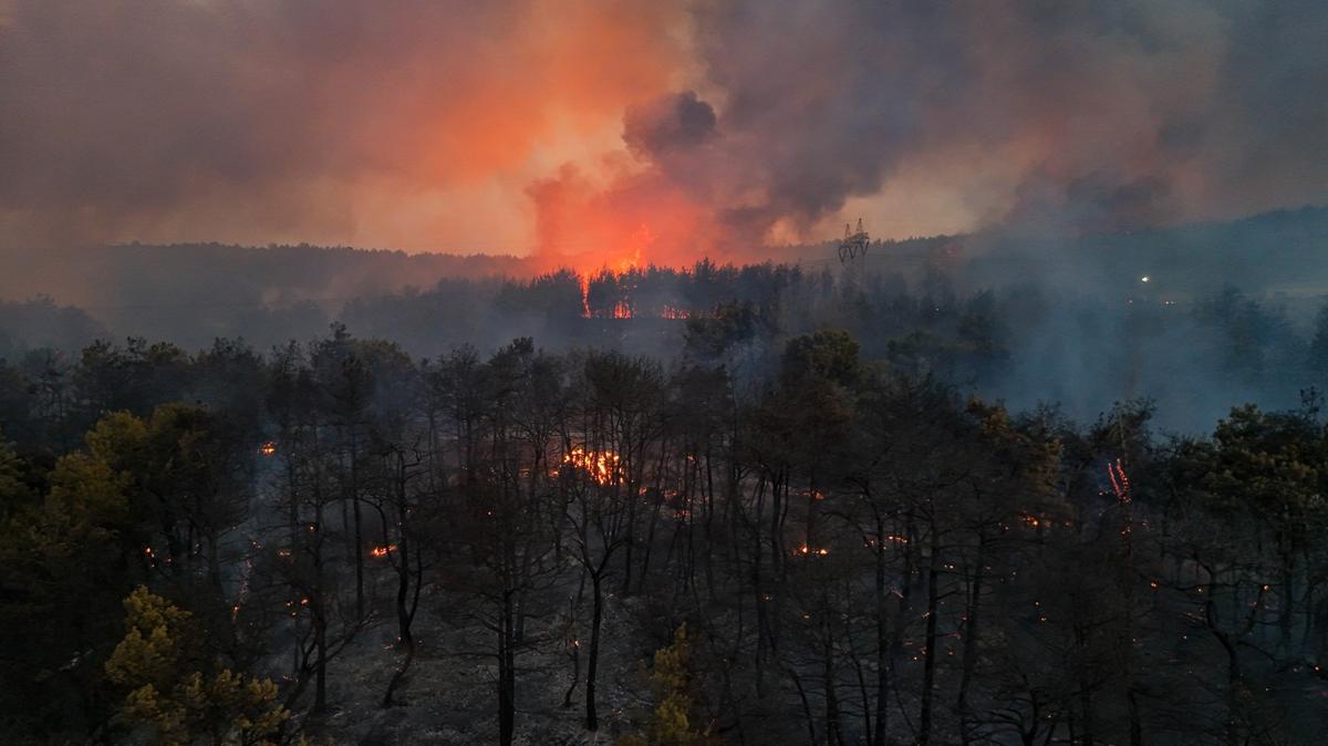 Orman Yangn tfaiye zmir Manisa Osmaniye fotoraflar resimleri