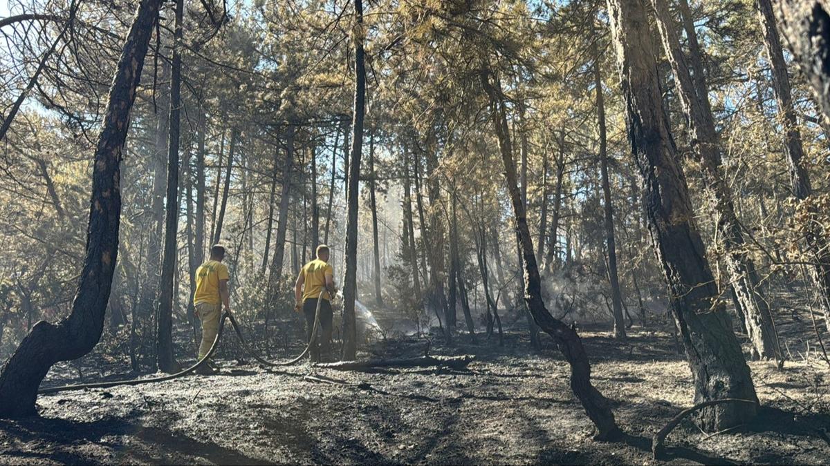 Yangn Edirne anakkale fotoraflar resimleri