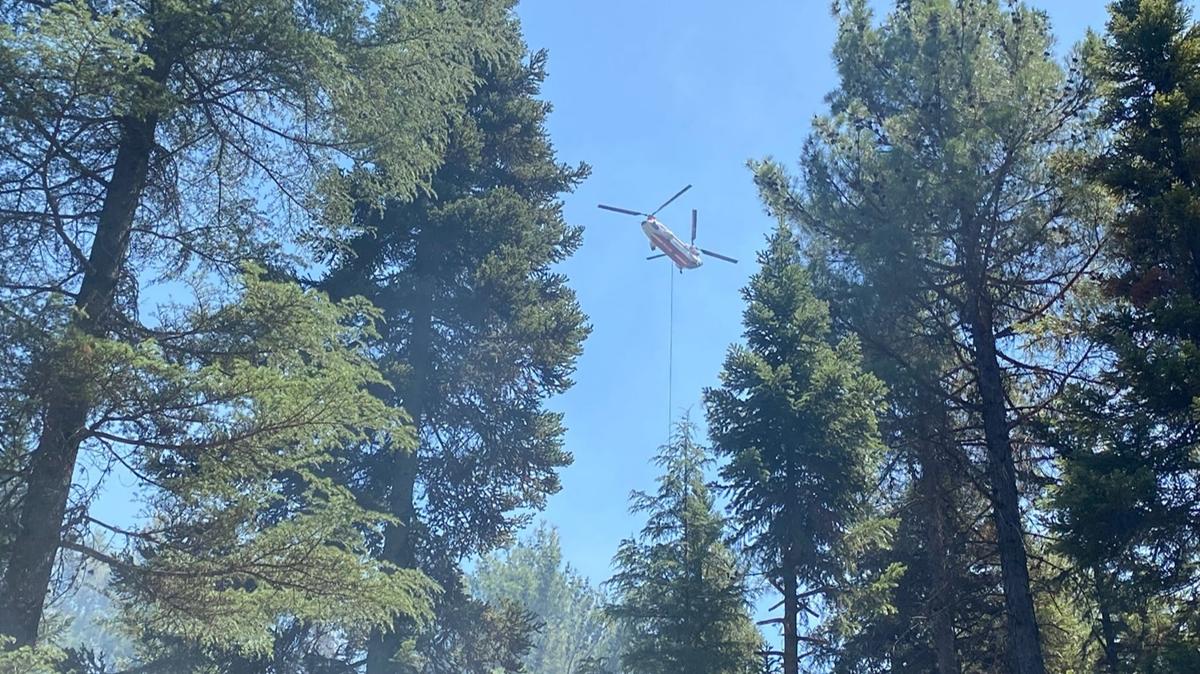 orman yangnlar demir yolu gvenlii hava filosu fotoraflar resimleri