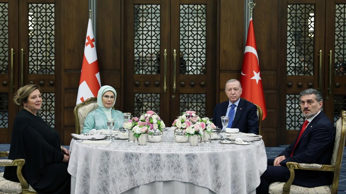 Erdoan Grcistan Kavelashvili  fotoraflar resimleri