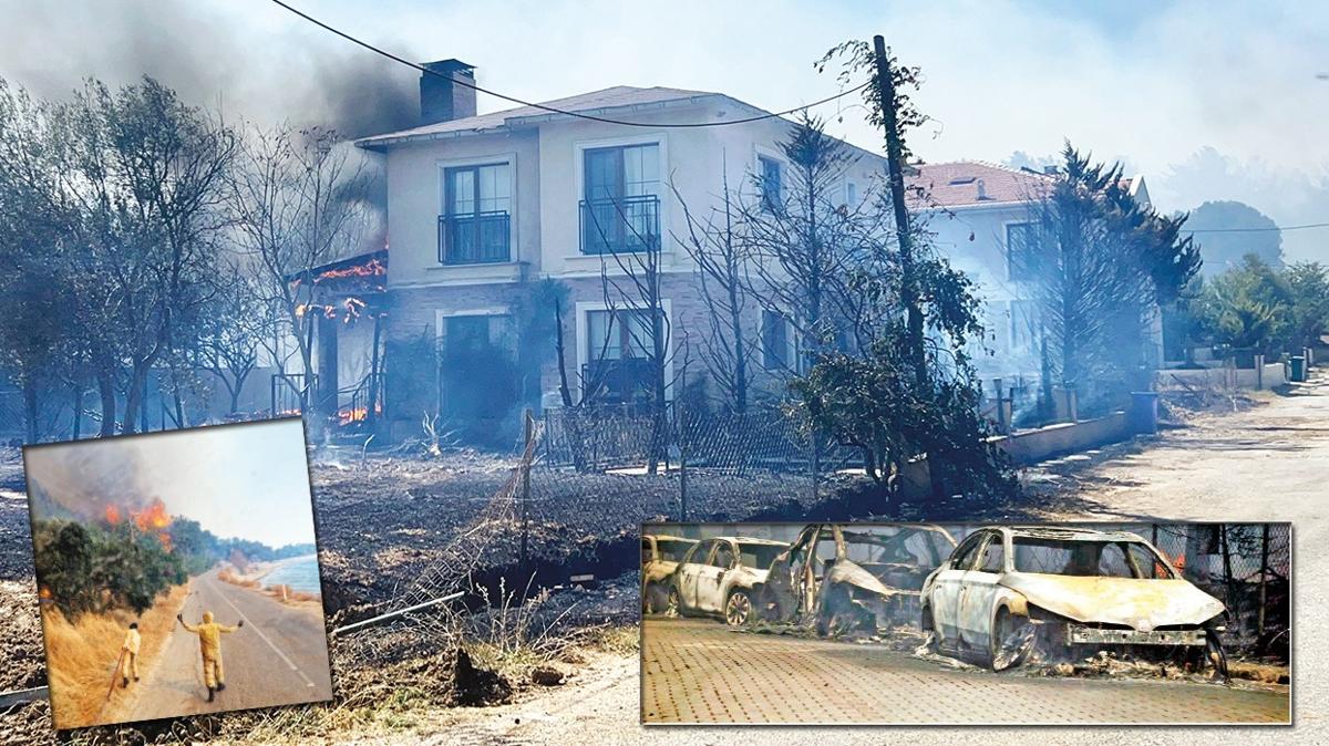 yangn orman yangn anakkale kepez ayvack fotoraflar resimleri