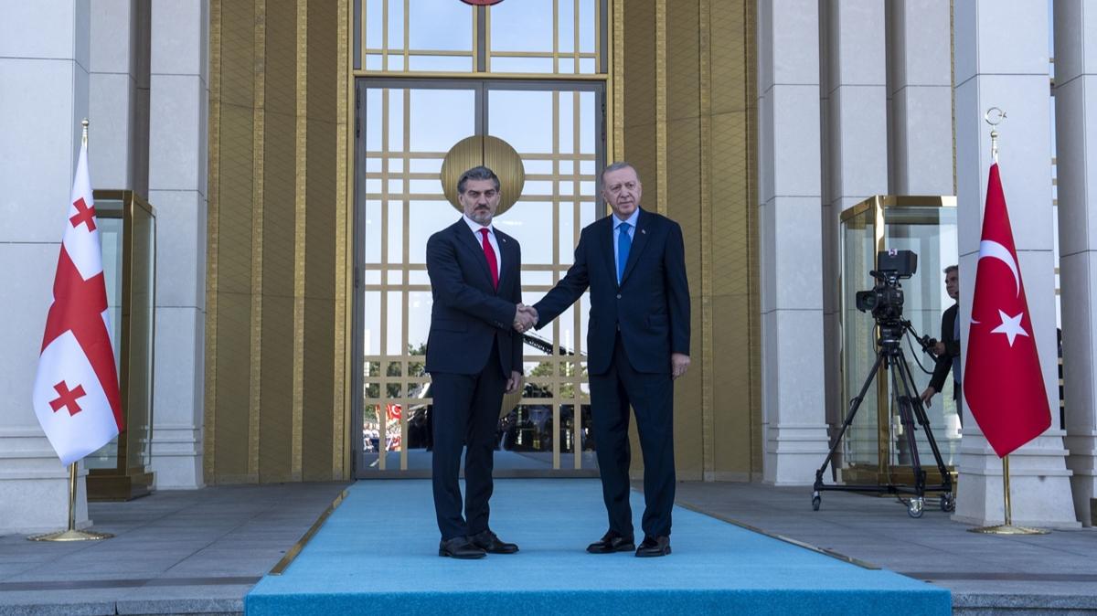 Erdoan Kavelashvili resmi karlama fotoraflar resimleri