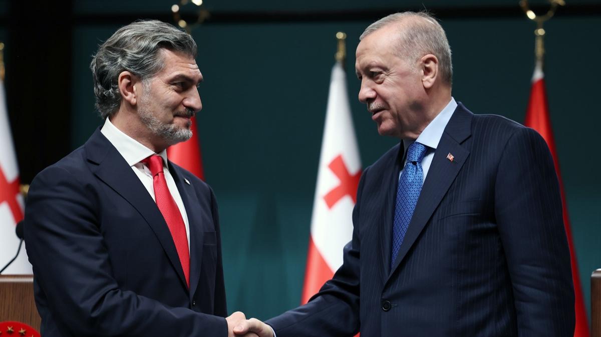 Erdoan Kavelashvili Grcistan fotoraflar resimleri