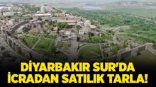 Diyarbakr Sur'da 78.723,60 metrekare icradan satlk tarla!
