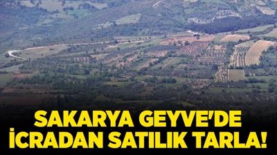 Sakarya Geyve'de icradan satlk tarla!